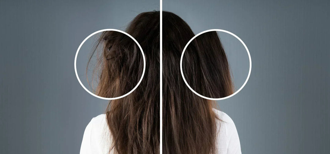 How to Repair Damaged Hair